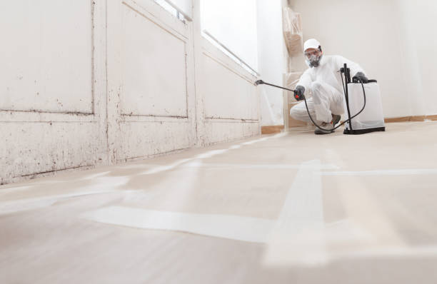 24/7 Emergency Attic Mold Remediation experts in Springfield, GA