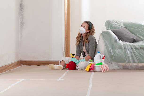 Reliable Attic Mold Remediation contractor in Springfield, GA by 24 Hour Mold Removal